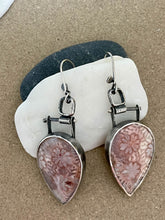 Load image into Gallery viewer, Teardrop Pink Fossilized Coral Earrings
