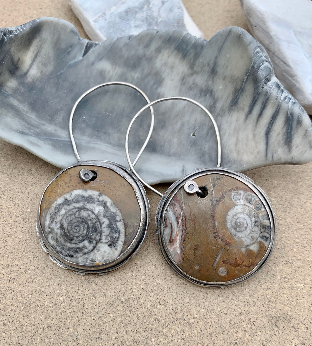 Sterling Silver & Nautilus Fossil Earrings